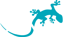 GEKOSOFT